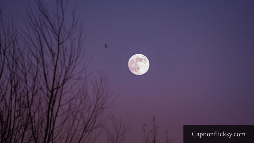 caption for moon